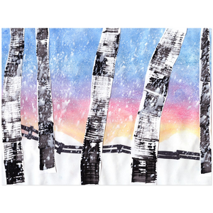 Birch Trees In Snow Acrylic Print