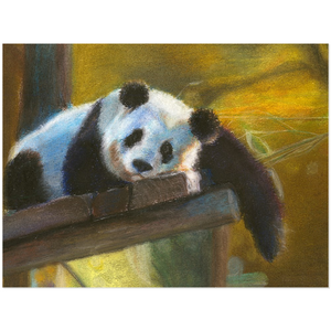 Panda Acrylic Print