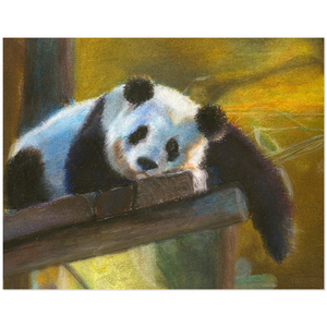 Panda Acrylic Print